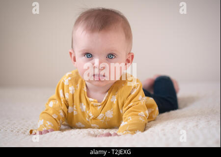 Cute 8 months old baby girl with beautiful blue eyes doing tummy time on her parent's bed at home. Stock Photo