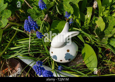 White ceramic Easter bunny with grape hyacinths (Muscari) around it in an old metal tray. Stock Photo