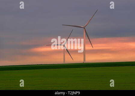 Eolian turbines used to produce green energy seen from a wheat field in the spring in Romania Stock Photo