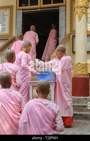 Novice nuns queuing for lunch at the Sakyadhita Thilashin Nunnery School, Sagaing, near Mandalay, Myanmar (Burma) Stock Photo