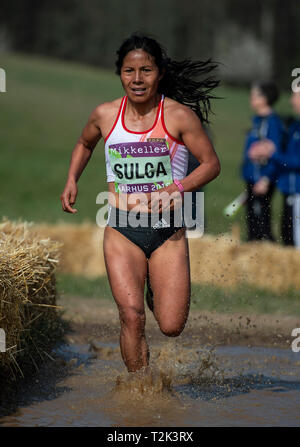 Senior Women's Race, IAAF World Cross Country Championships 2019 Stock Photo