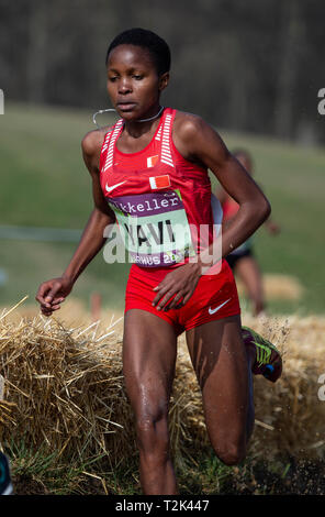 Senior Women's Race, IAAF World Cross Country Championships 2019 Stock Photo