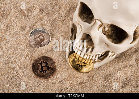 Close up on skull biting bitcoin over sand background. Concept of investment and fluctuation of bitcoin and cryptocurrency. Stock Photo
