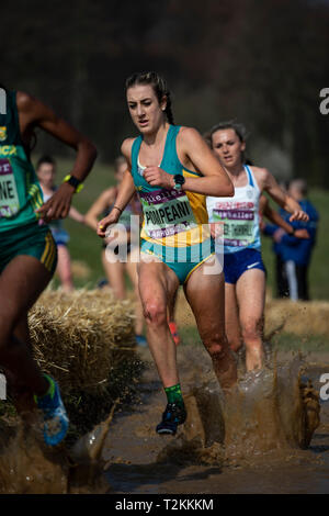 Senior Women's Race, IAAF World Cross Country Championships 2019 Stock Photo