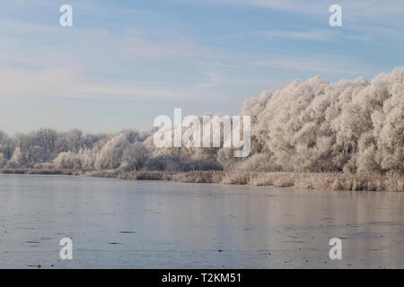 Altwasser im Winter Stock Photo