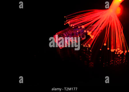 Network cable with fiber optics light on black background Stock Photo