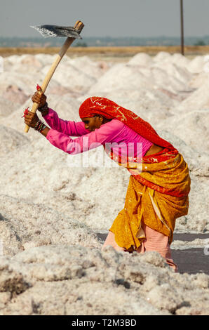 SAMBHAR, INDIA - NOVEMBER 19, 2012: Indian woman uses pickaxe to mine a salt at lake Sambhar, Rajasthan, India. Stock Photo