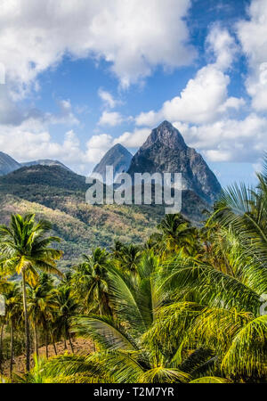 The Pitons are two mountainous volcanic plugs,  located in Saint Lucia. Gros Piton is 771 m high, and Petit Piton is 743 m high; These peaks are a Wor Stock Photo