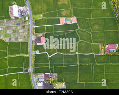 Top down aerial view of rice fields, houses and a road near Ubud in Bali, Indonesia Stock Photo