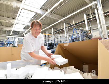 woman works in the shipping department of a company and packs styrofoam components into packages for the customer. Stock Photo