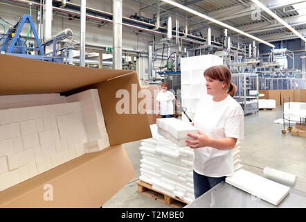 woman works in the shipping department of a company and packs styrofoam components into packages for the customer. Stock Photo