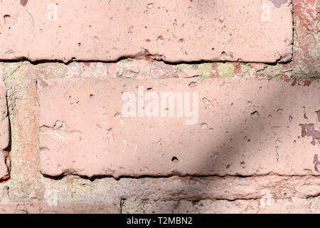 Old painted brick wall with shadows of branches on it on a sunny day.. Brick wall abstract background Stock Photo