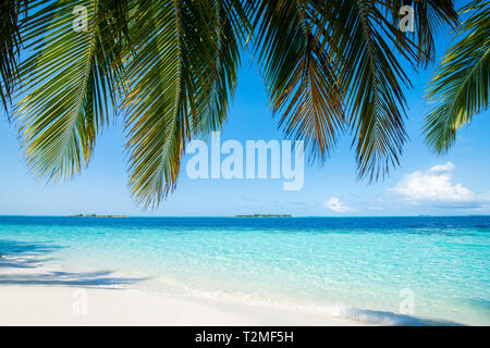 Wave of tropical sea beach on white sand with coconut leaf edge frame. Stock Photo