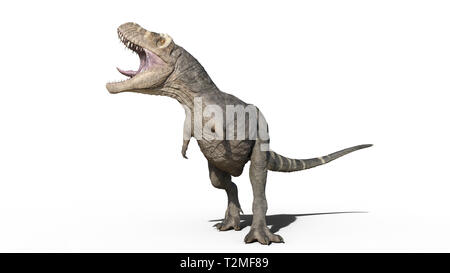 Premium Photo  A t - rex dinosaur running in a white background