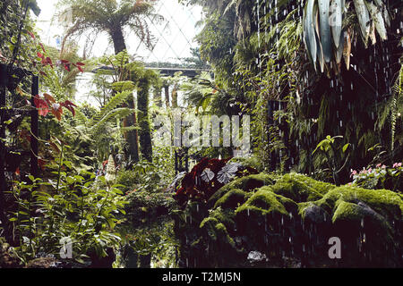 Gardens and architecture inside the Cloud Dome, at Gardens By the Bay, in Singapore Stock Photo