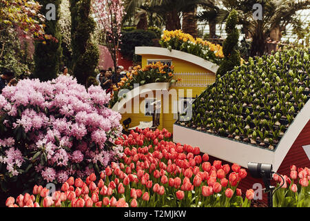 Beautiful botanical gardens and architecture in the Flower Dome, at the Gardens By the Bay, in Singapore Stock Photo