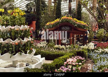 Beautiful botanical gardens and architecture in the Flower Dome, at the Gardens By the Bay, in Singapore Stock Photo