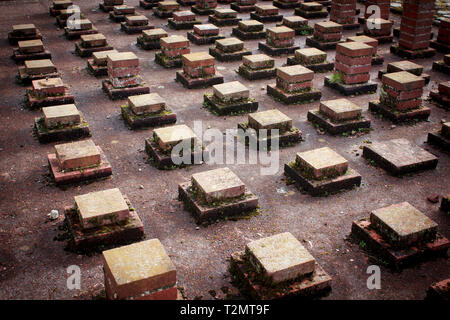 The remnants of the Wroxeter Roman city in Wroxeter, Shropshire, England, UK. Stock Photo