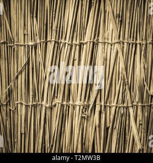 Highly detailed bamboo background. Perfect natural texture. Stock Photo