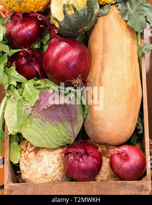 Pumpkin red onion cabbage and other vegetables in autumn Stock Photo