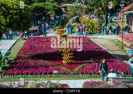 Boquete Chiriqui Panama Flower and coffee Fair Stock Photo