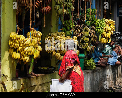 Madurai, India - March 9, 2018: A customer examines the varieties of bananas for sale in the specialist market in the center of the city Stock Photo