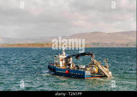 Bantry, West Cork, Ireland. 3rd Apr, 2019. A Bantry based fishing boat departs Bantry Harbour for the Mussel fishing grounds in the bay. The day has started bright but with strong northerly winds. This afternoon will see prolonged showers with highs of 6 to 9°C. Credit: Andy Gibson/Alamy Live News. Stock Photo