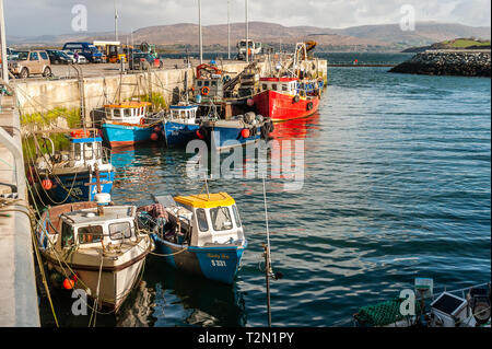Bantry, West Cork, Ireland. 3rd Apr, 2019. The Bantry fishing fleet moored and ready for work. The day has started bright but with strong northerly winds. This afternoon will see prolonged showers with highs of 6 to 9°C. Credit: Andy Gibson/Alamy Live News. Stock Photo