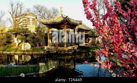 Beijing, China. 3rd Apr, 2019. Photo taken with a mobile phone shows spring scenery in Peking University in Beijing, capital of China, April 3, 2019. Credit: Wei Mengjia/Xinhua/Alamy Live News Stock Photo