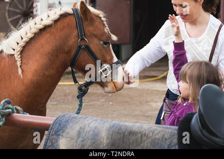 Little girl with mother and brown horse with braided mane, close up Stock Photo
