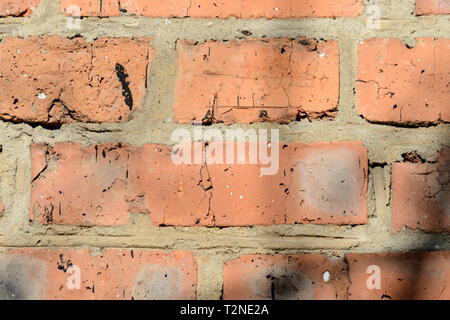 Old brick wall with shadows of branches on it on a sunny day.. Brick wall abstract background Stock Photo