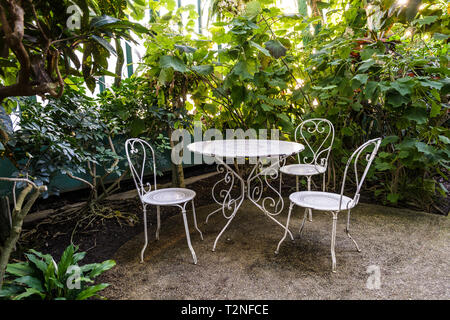 White wrought iron garden set in the palmarium, the large palm greenhouse in the Jardin des serres d'Auteuil in Paris, France. Stock Photo