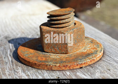Large rusty nut holds wood  aged planks together background. Central focus on nut as the main object Stock Photo
