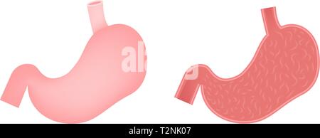 Stomach vector flat icon, human organ, anatomy, medical vector illustration Stock Vector