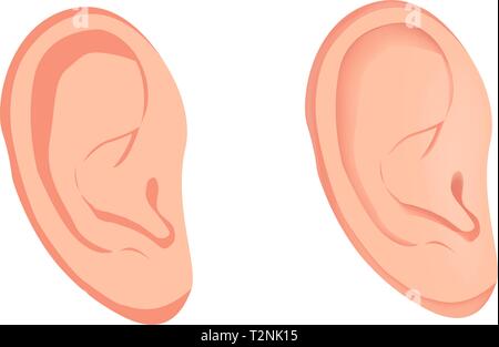 Ear vector flat icon, human organ, anatomy, medical vector illustration Stock Vector