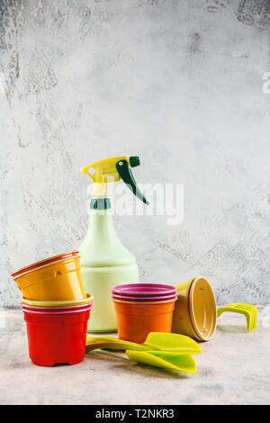 Spring flowers in pots narcissus and hyacinths with gardening tools on light background Stock Photo