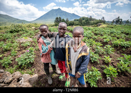 Kids in Potato field on small farms near Volcanos National Park , Rwanda Stock Photo