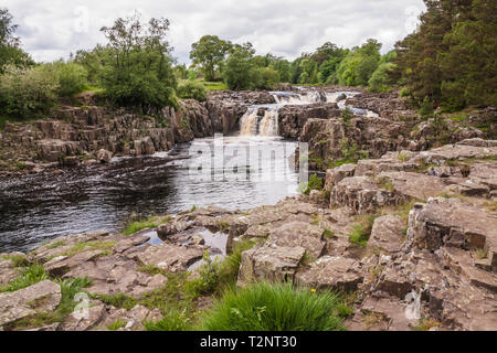 A scenic view of the Low Force waterfalls in Teesdale in north east Durham,England,UK Stock Photo