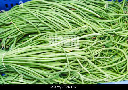 Chinese vainitas long beans for retail sale in a market Stock Photo