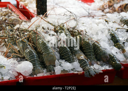 fresh fish and seafood, Thailand market Stock Photo