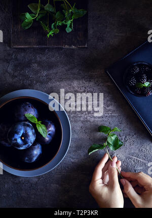 Plums, blackberries and mint ingredients on dark background. Woman holding mint. Stock Photo
