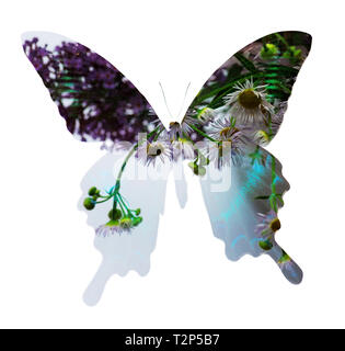 Double exposure of butterfly and conceptual image depicting Earth ...