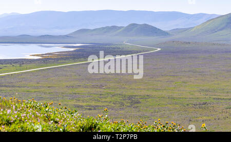 Spring landscape in Carrizo Plain National Monument, Central California
