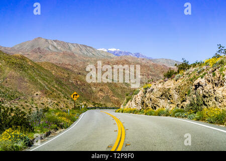 Travelling towards Coachella Valley through Santa Rosa and San Jacinto Mountains National Monument, south California, south California; wildflowers gr Stock Photo