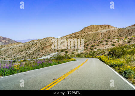 Travelling towards Coachella Valley through Santa Rosa and San Jacinto Mountains National Monument, south California, south California; wildflowers gr Stock Photo