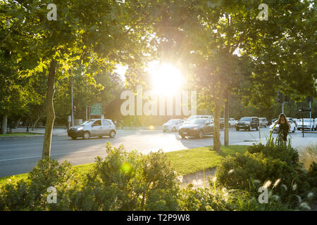 Santiago, Region Metropolitana, Chile - December 11, 2018: Traffic in the Forestal Park at downtown with a setting sun. Stock Photo