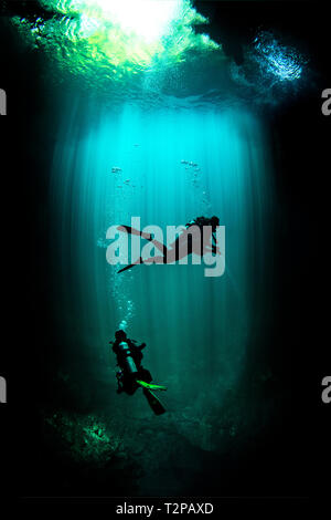 Cenote diving, Pit Cenote, Tulum, Quintana Roo, Mexico Stock Photo - Alamy