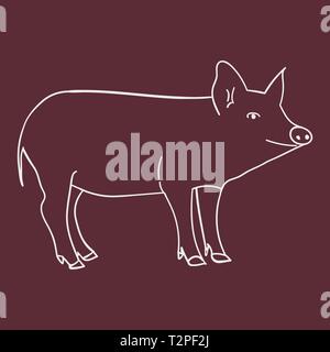 Contour pig in doodle style. Vector illustration on color background. Stock Vector