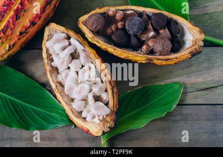 Open cocoa cob and pieces of chocolate on wooden background. Top view. Stock Photo