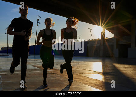 Friends jogging in sports stadium at sunset Stock Photo